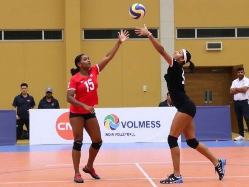 Indian Volleyball Teams in India Volley Elites